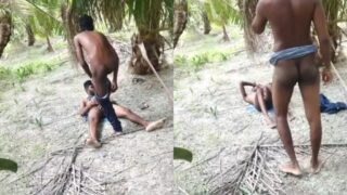 Coconut farm pe kaam karne waale workers outdoor CCTV mein pakde gaye, fuck karte hue.