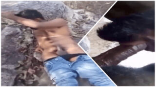 Ek daadhiwala homo banda, uska face buri tarah choda ja raha hai.