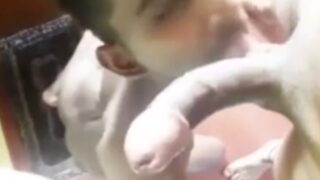 Ek young, gay banda, lambe aur sakht lund ko chus raha hai.