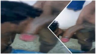Tamil ka cock sucker ek bada sa lund nigal gaya